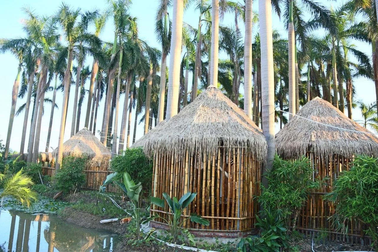 1520584355865758.jpg 1520584355865758.jpg