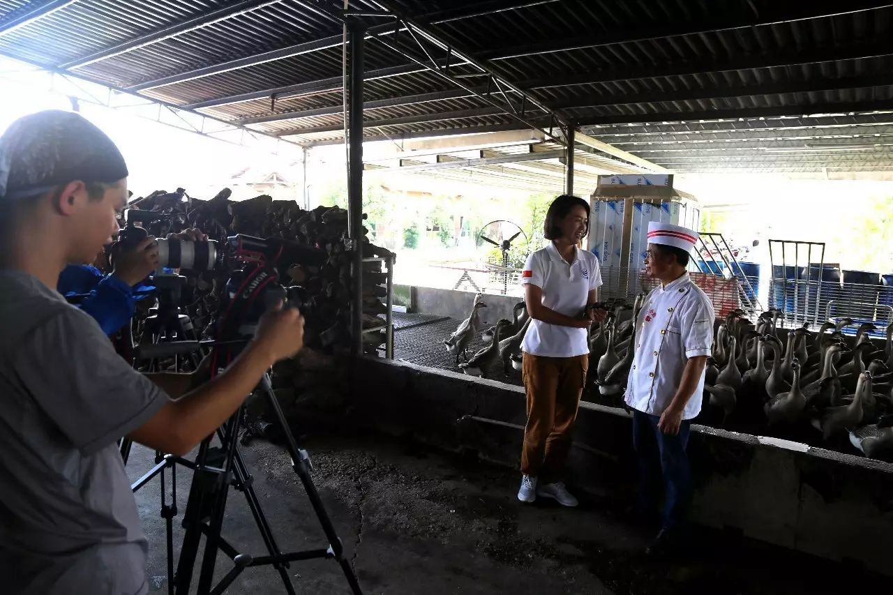 1520585856738100.jpg 1520585856738100.jpg