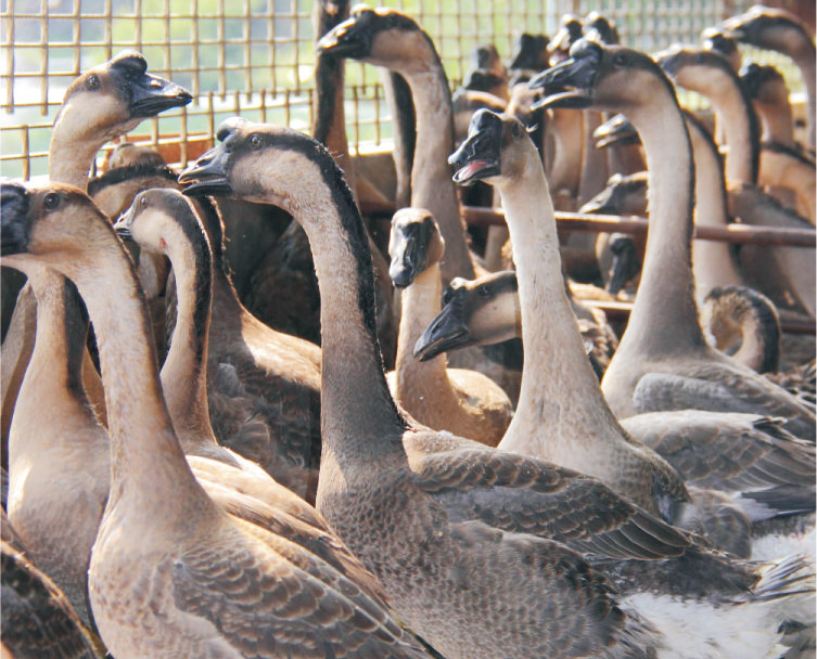 1520821923685012.jpg 1520821923685012.jpg