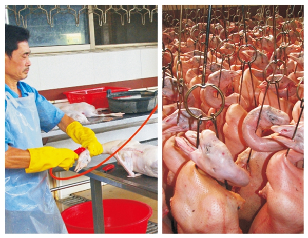 1520822132998150.jpg 工艺10.jpg