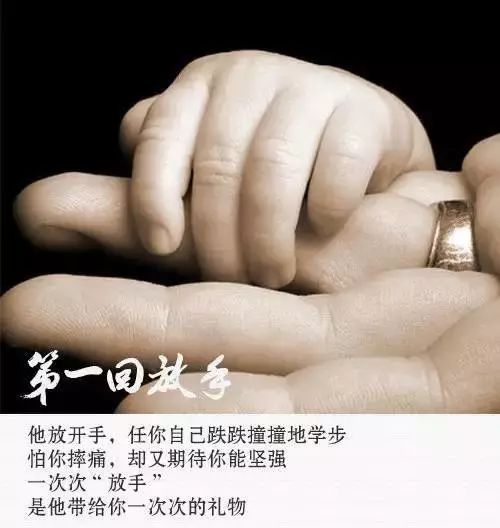 1520836671787780.jpg 1520836671787780.jpg