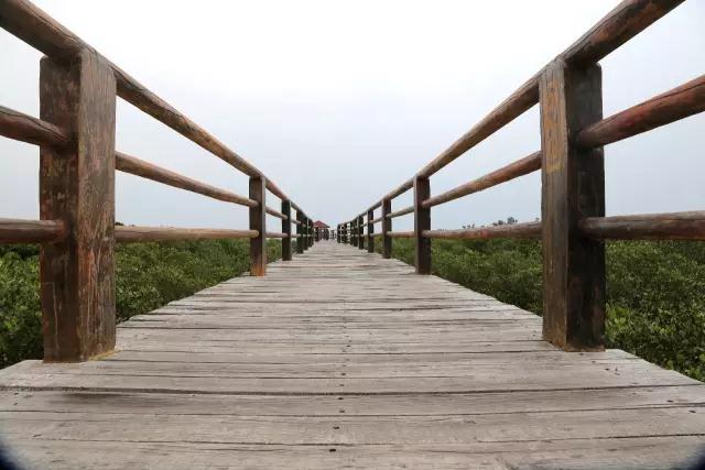 1520837640373922.jpg 微信图片_20180312144906.jpg