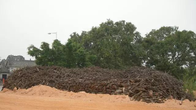 1520842513101118.jpg 微信图片_20180312160424.jpg