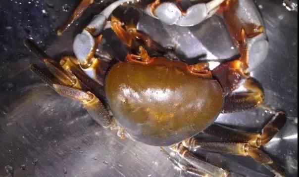 1520847869877551.jpg 微信图片_20180312150737.jpg