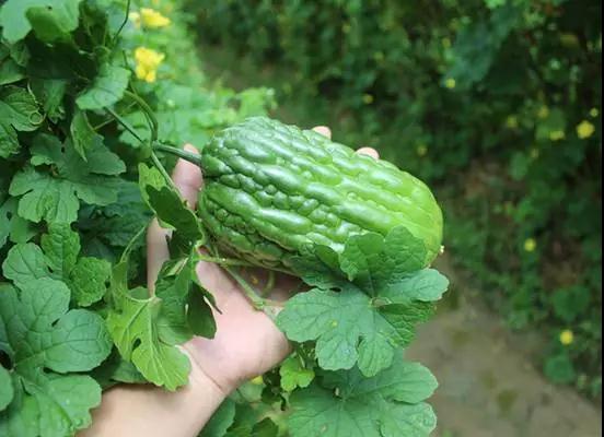 1520847939897526.jpg 微信图片_20180312150748.jpg