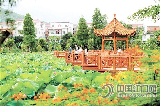 1525919456990845.jpg 8.jpg