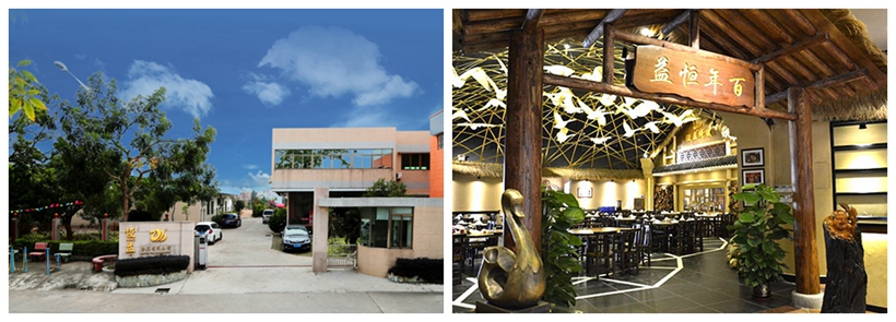 新会古井烧鹅 新会古井烧鹅