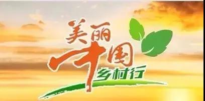 古井飘香 古井飘香