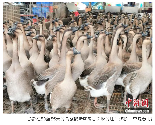 恒益烧鹅 恒益烧鹅