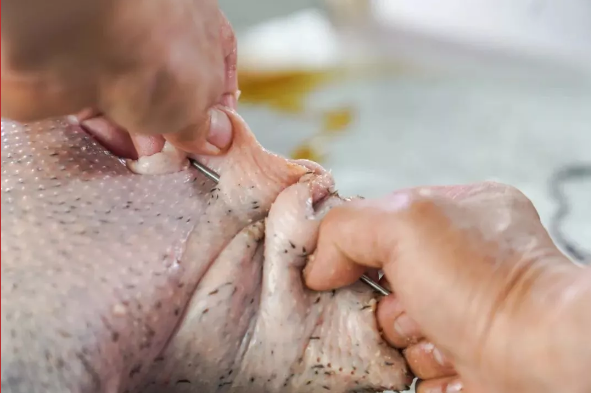 古井烧鹅制作 古井烧鹅制作