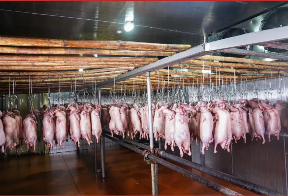 古井烧鹅制作 古井烧鹅制作