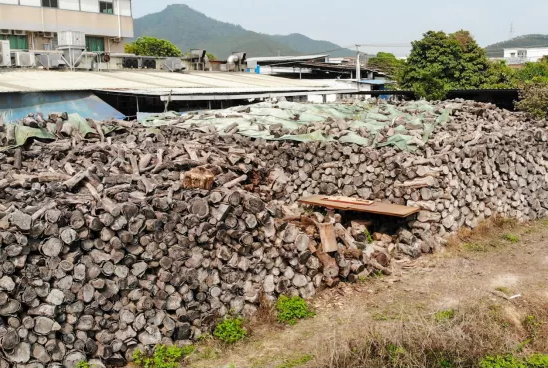 古井烧鹅制作 古井烧鹅制作