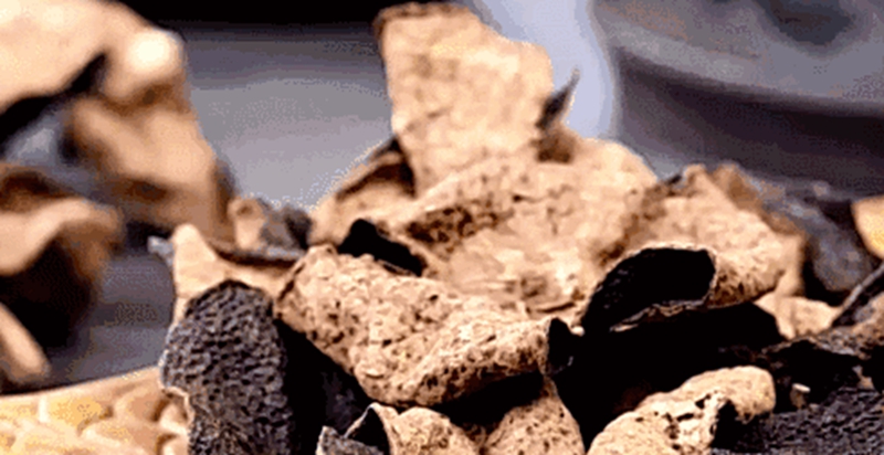 古井恒益 古井恒益